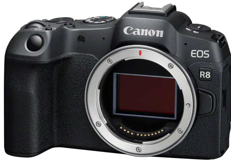 EOS R8 BOITIER NU<CANON Clearance