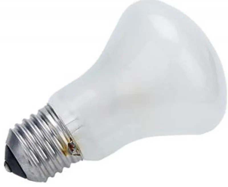 LAMPE PILOTE 100 W/196V E27<ELINCHROM Sale