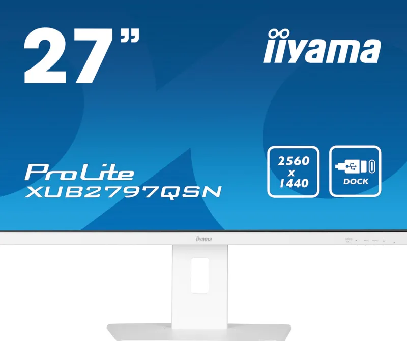 24.ips.100hz.hdmi.dp.usb-c.rj45.reg haut<IIYAMA Clearance
