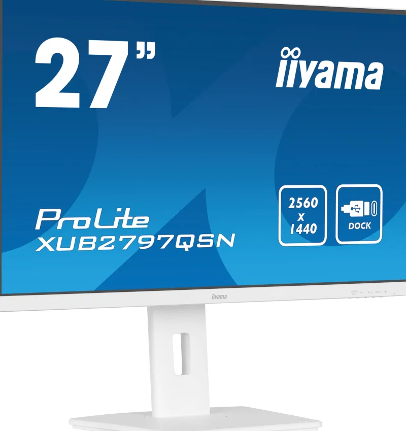 24.ips.100hz.hdmi.dp.usb-c.rj45.reg haut<IIYAMA Clearance