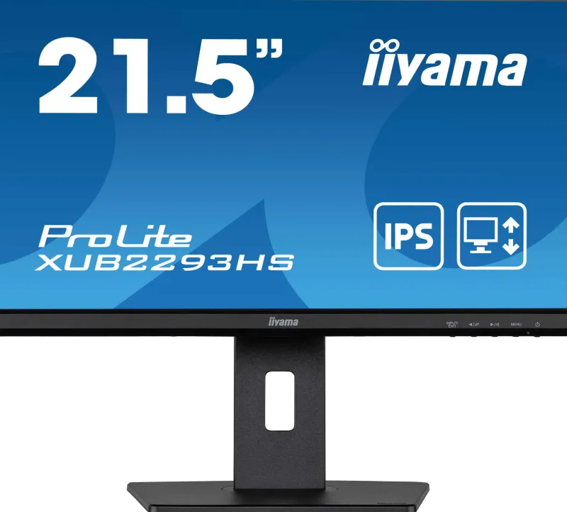 22.ips.1920x1080.vga.dp.hdmi.reg haut.<IIYAMA Hot