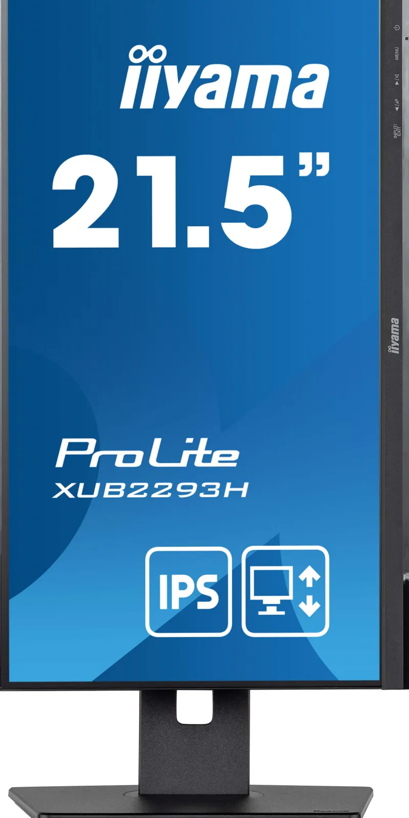 22.ips.1920x1080.vga.dp.hdmi.reg haut.<IIYAMA Hot