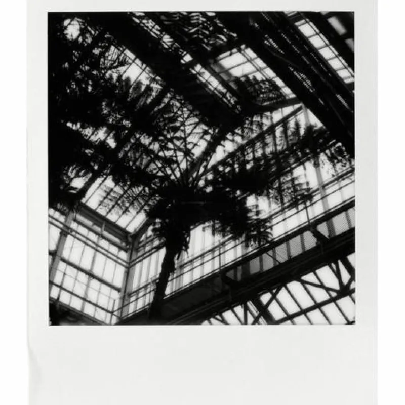 film sx70 b/w gen2.<IMPOSSIBLE New