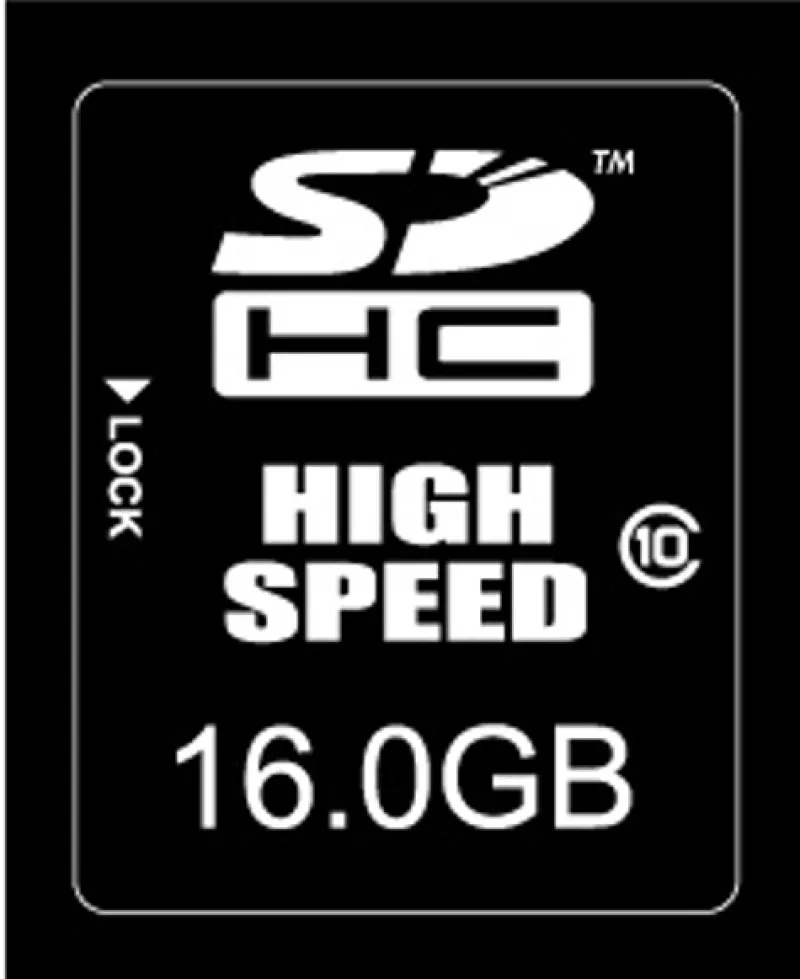 CARTE SDHC 16 GB CLASS 10 BULK<NIKON Online
