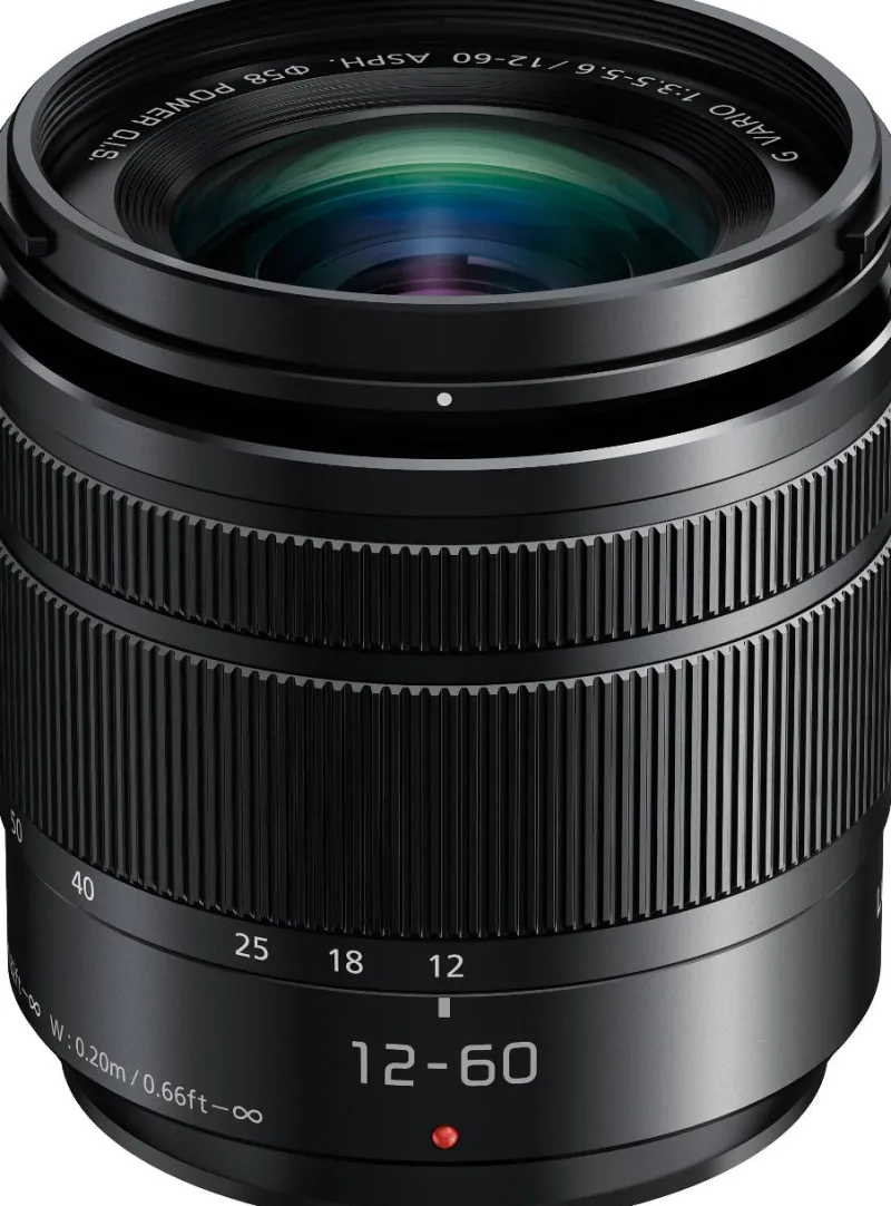 12-60/3.5-5.6 VARIO ASPH POWER OIS<PANASONIC Clearance