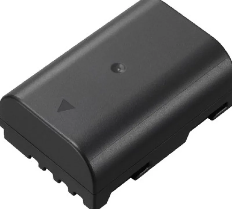 BATTERIE DMW-BLF19E<PANASONIC Flash Sale