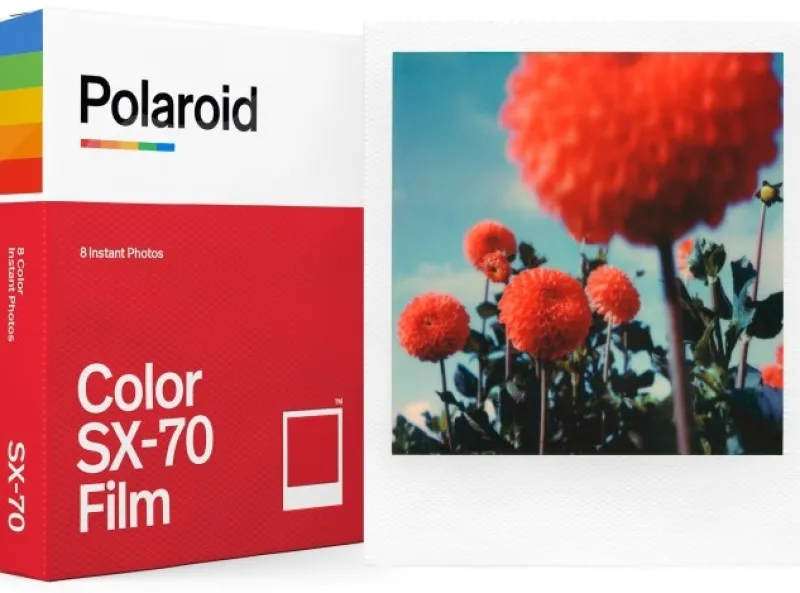 FILM SX70 COLOR<POLAROID Cheap