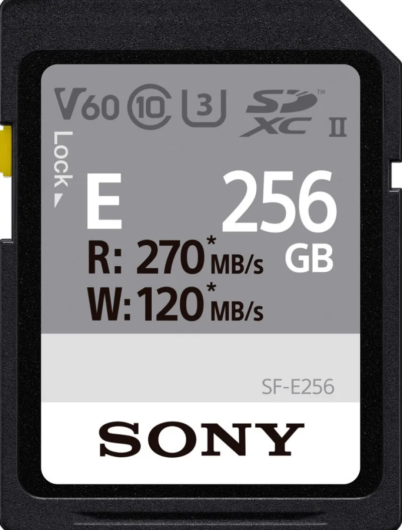 CARTE SD UHS-II ENTRY SERIE CL10U3 256GO<SONY Best