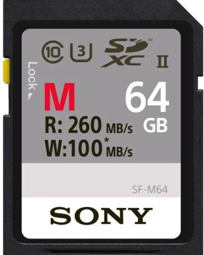 SDXC CARTE PRO 64GB UHS-II R260 W100<SONY New
