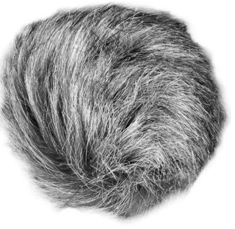 BRISE VENT UNIVERSEL<ZOOM Cheap